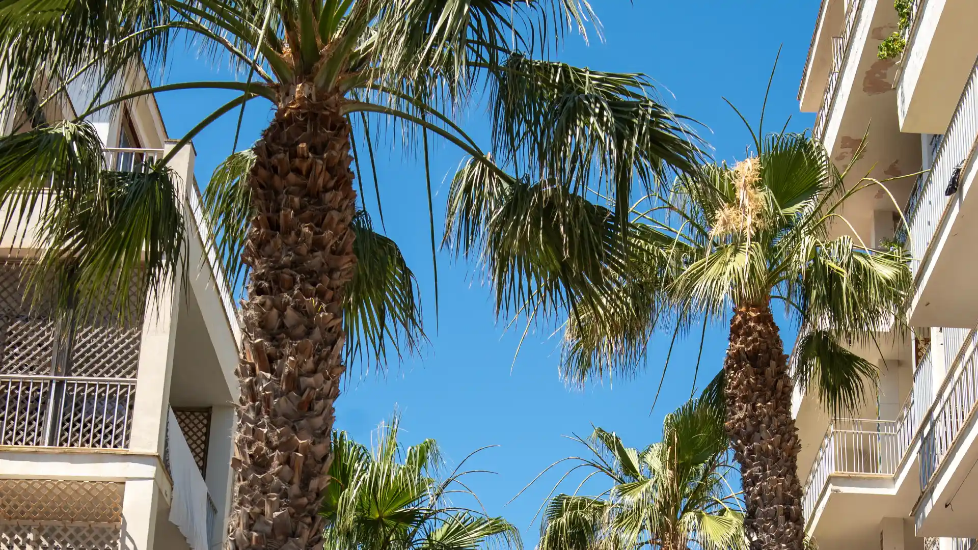 como llegar Planet Hotels One